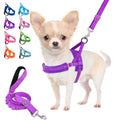 Heavy Duty Adjustable Reflective Dog Harness and Leash W8200