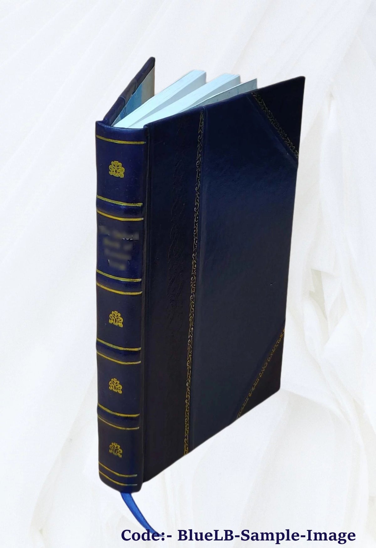 Leather Bound Historical Study W179