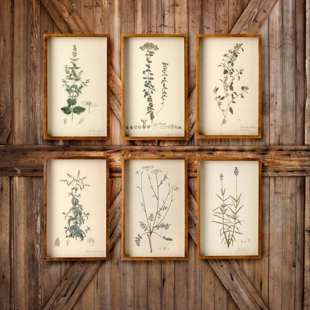 Set of 6 Botanical Prints O71174