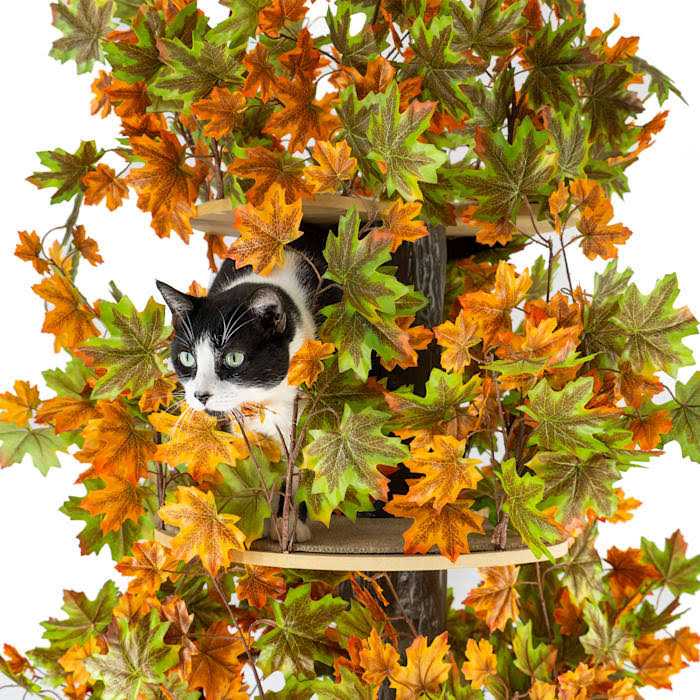 Square Cat Tree H122265