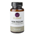 Fem Figure Supplement R2240