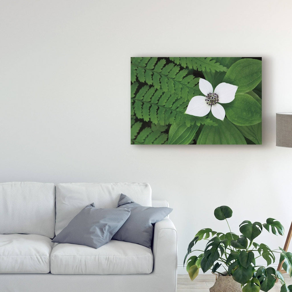 Canvas Art J814432