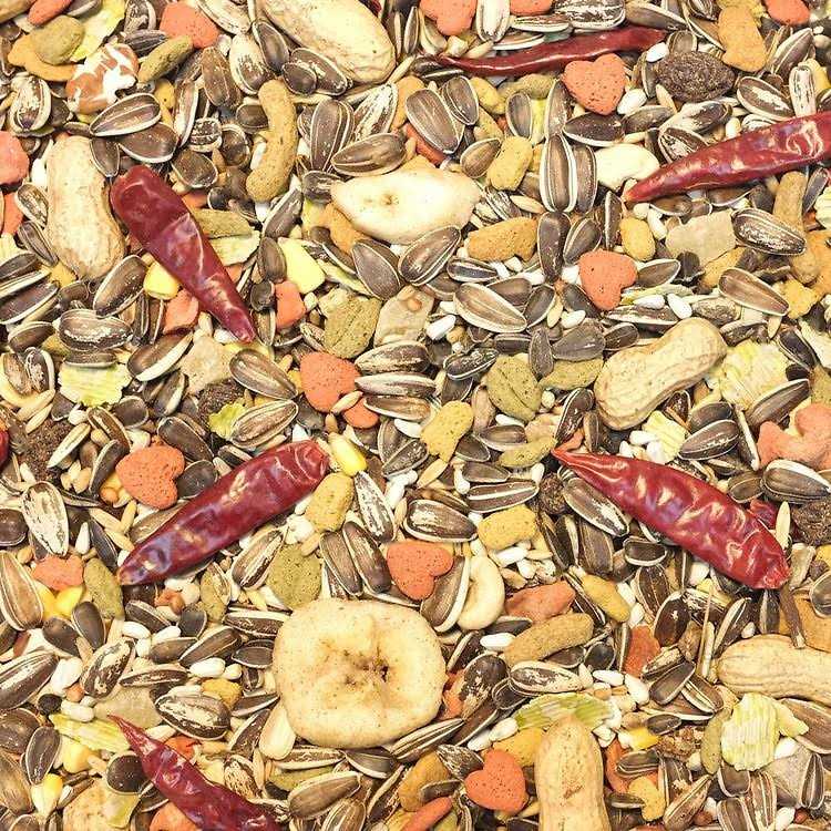 Parrot Food H580429