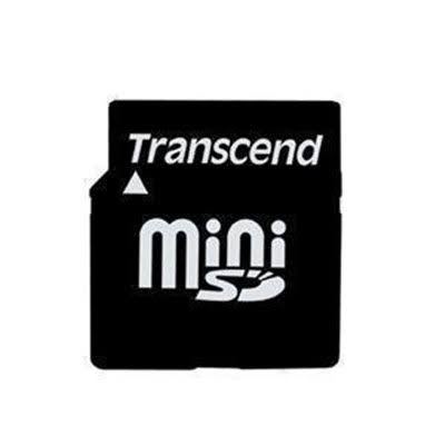 2 GB MiniSD Memory Card with SD Adapter J9521