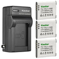 3-Pack Battery and AC Wall Charger V543349