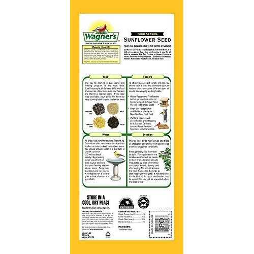 Black Oil Sunflower Seed H3020