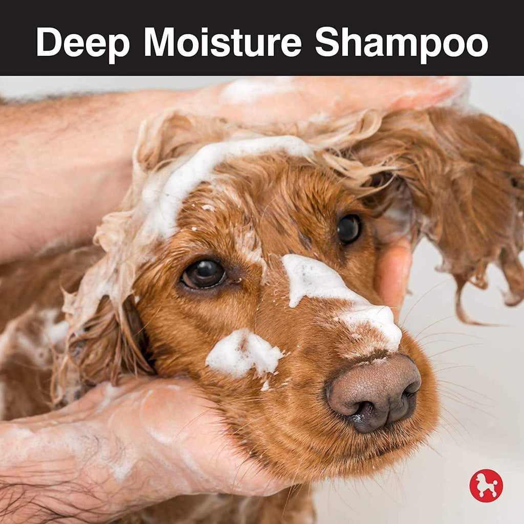 Dog Deep Moisture Shampoo V436426