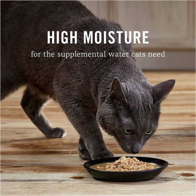 Grain-Free Chicken Recipe in Broth Canned Cat Food H27496