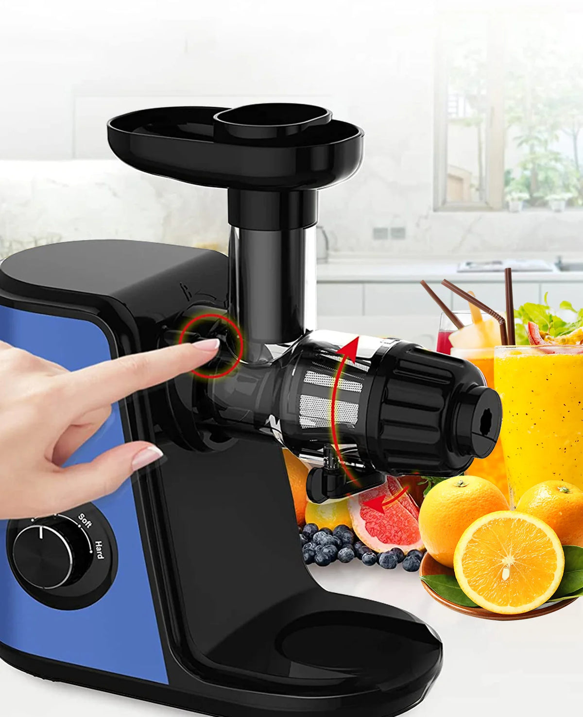 Cold Press Slow Masticating Juicer U46315
