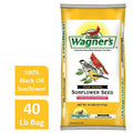 Black Oil Sunflower Seed H3020