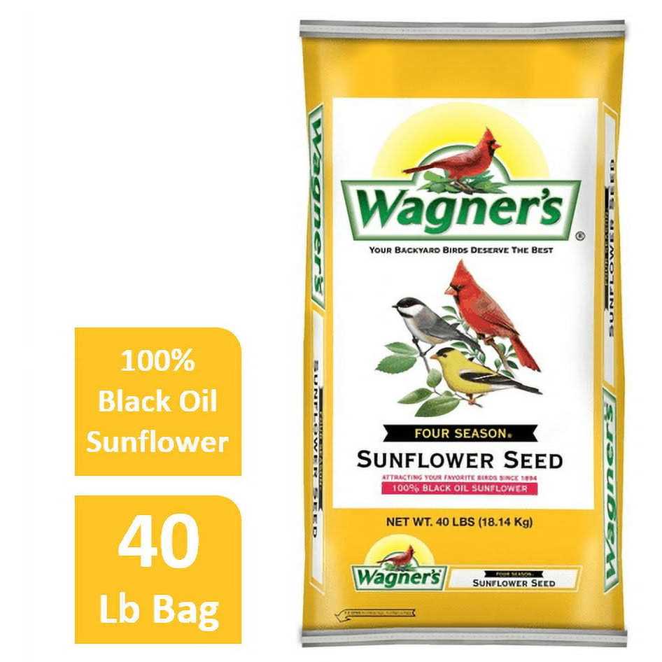 Black Oil Sunflower Seed H3020