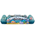 12 Pack Egg Carton F367529