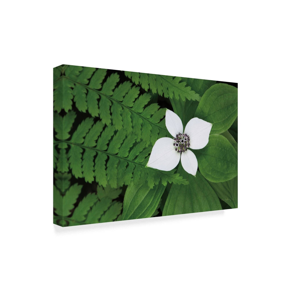 Canvas Art J814432