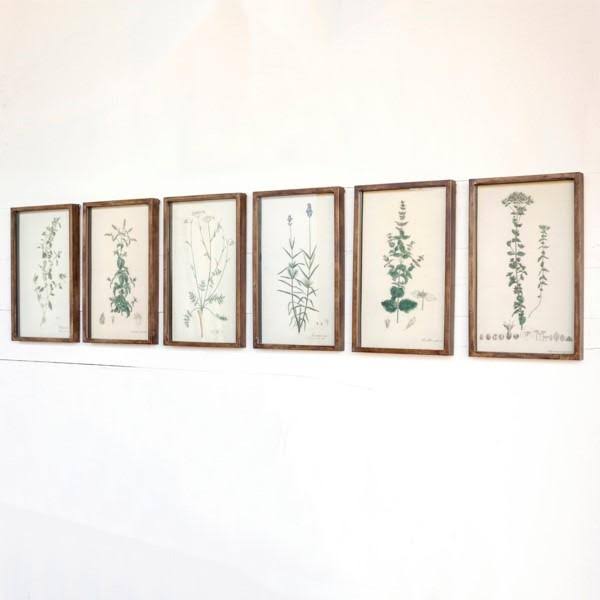 Set of 6 Botanical Prints O71174
