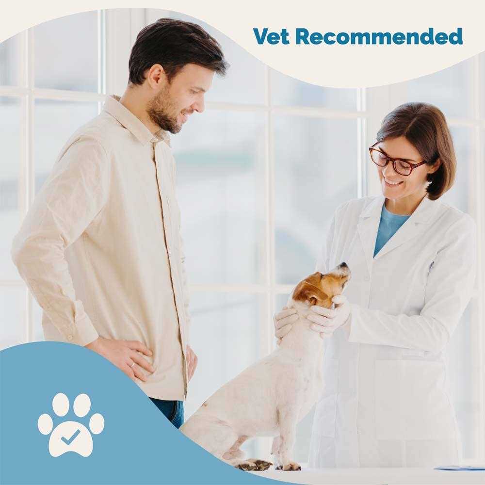 Lignans & Melatonin Blend Medicine for Dogs T385