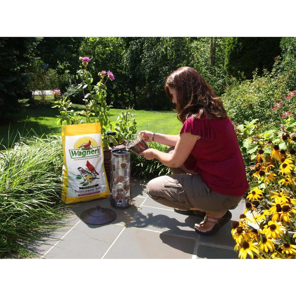 Black Oil Sunflower Seed H3020