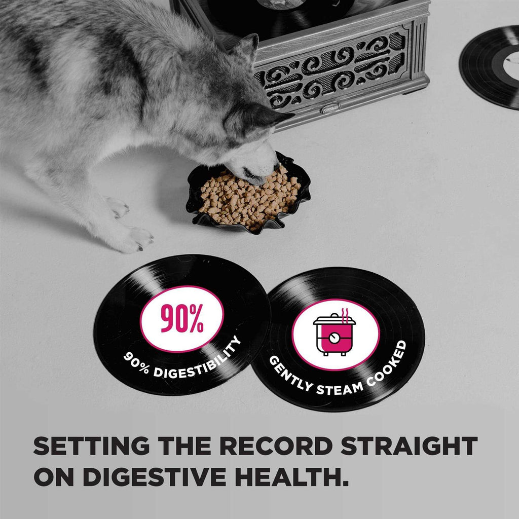 Dog Food Z6013