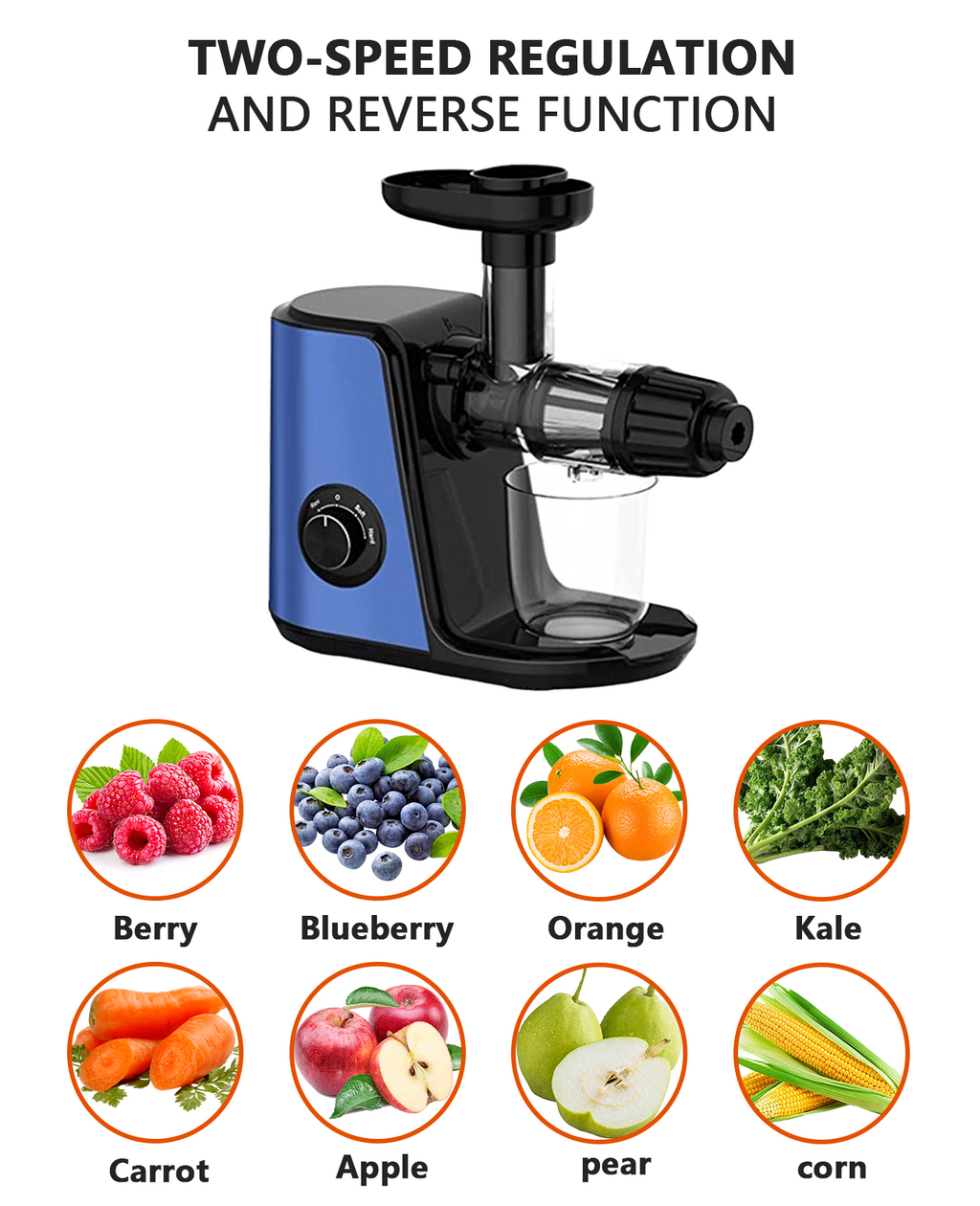 Cold Press Slow Masticating Juicer U46315