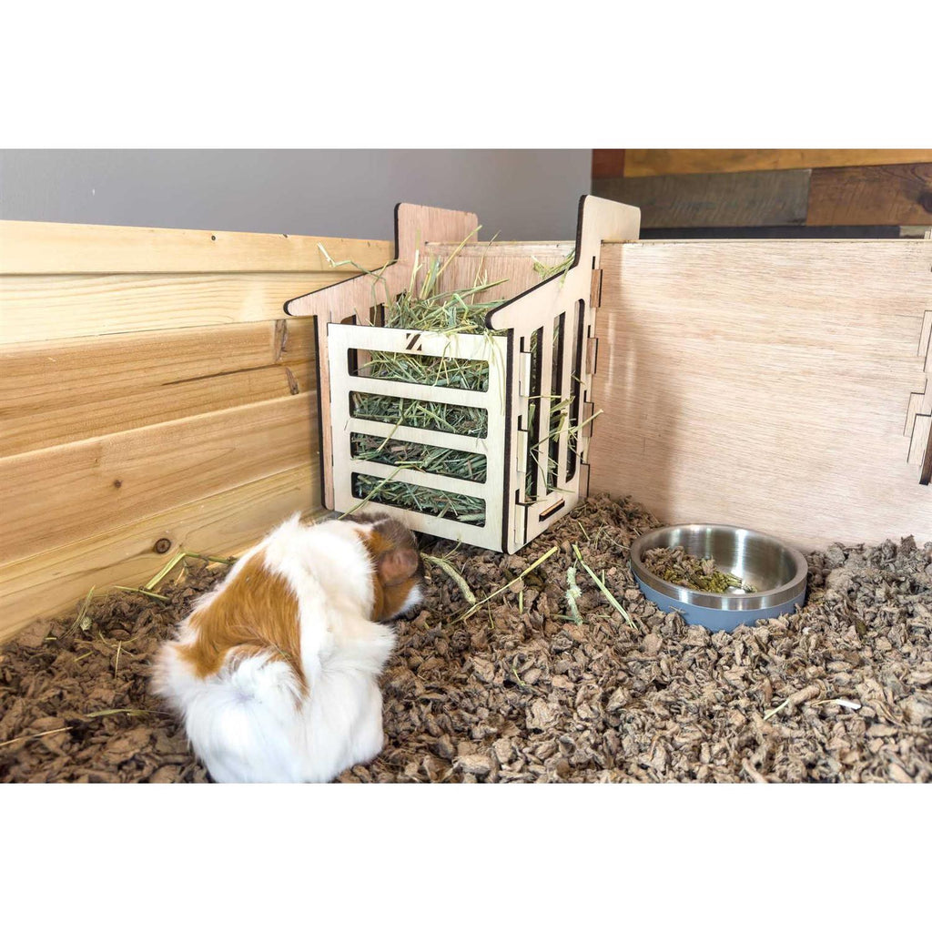 Guinea-Pig Habitat L90576
