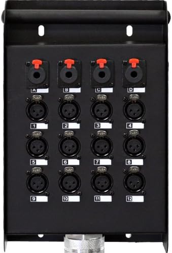 12 Channel 100' XLR Snake Cable with 1/4 Returns R868