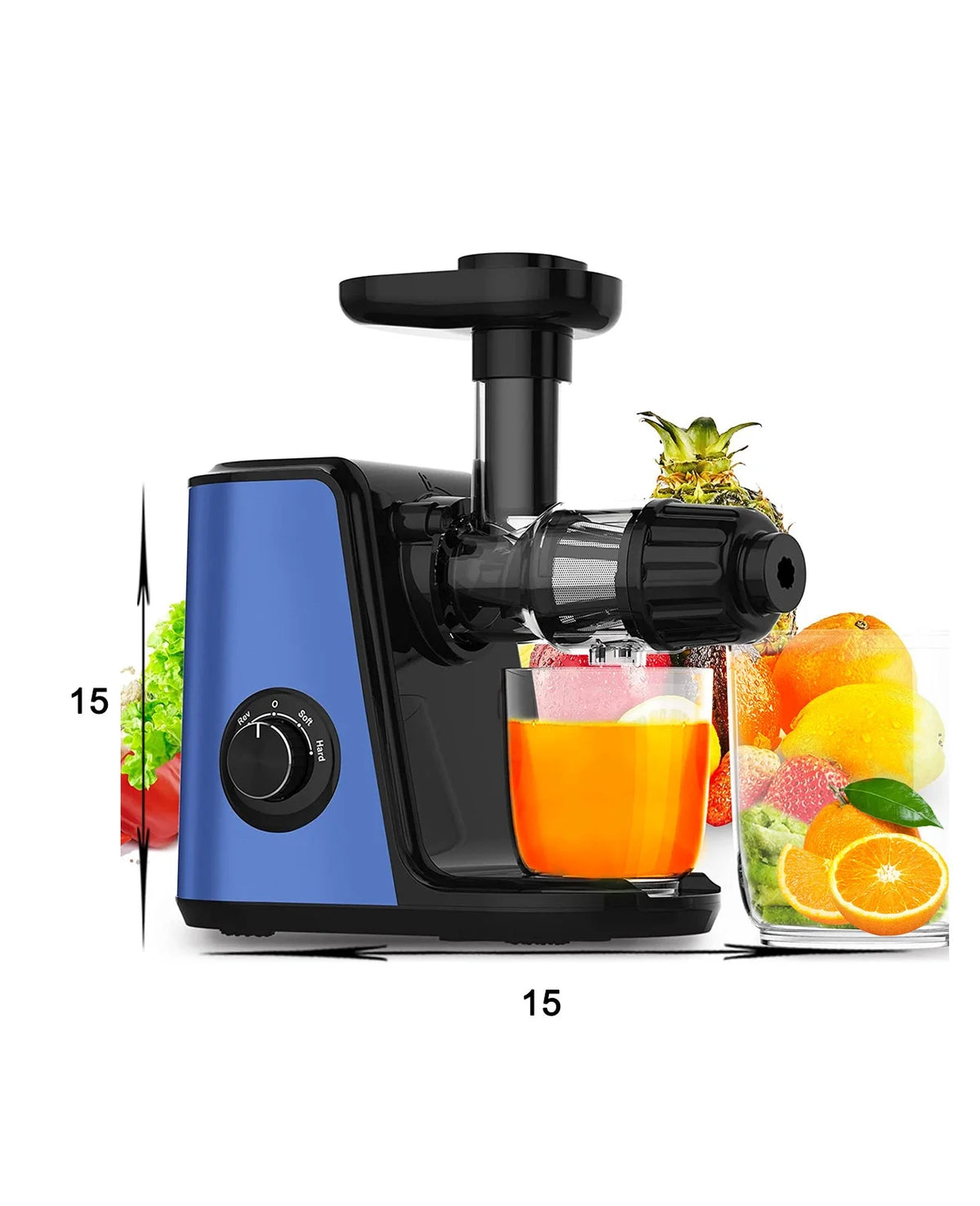 Cold Press Slow Masticating Juicer U46315