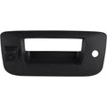 Tailgate Handle Camera F819