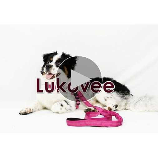 Heavy Duty Adjustable Reflective Dog Harness and Leash W8200