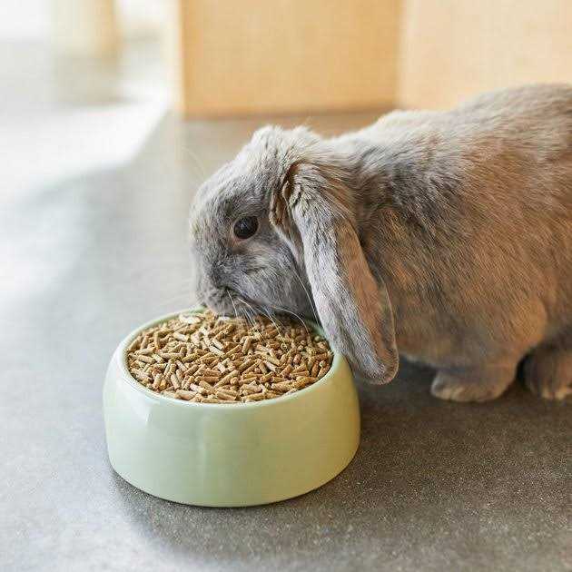 Timothy Based Rabbit Food O918218