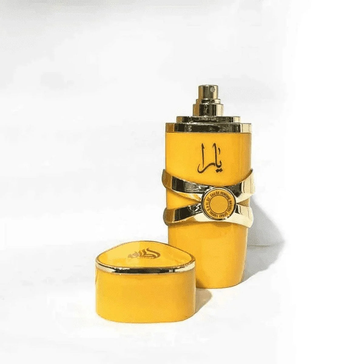 100ml Eau de Toilette Spray R576