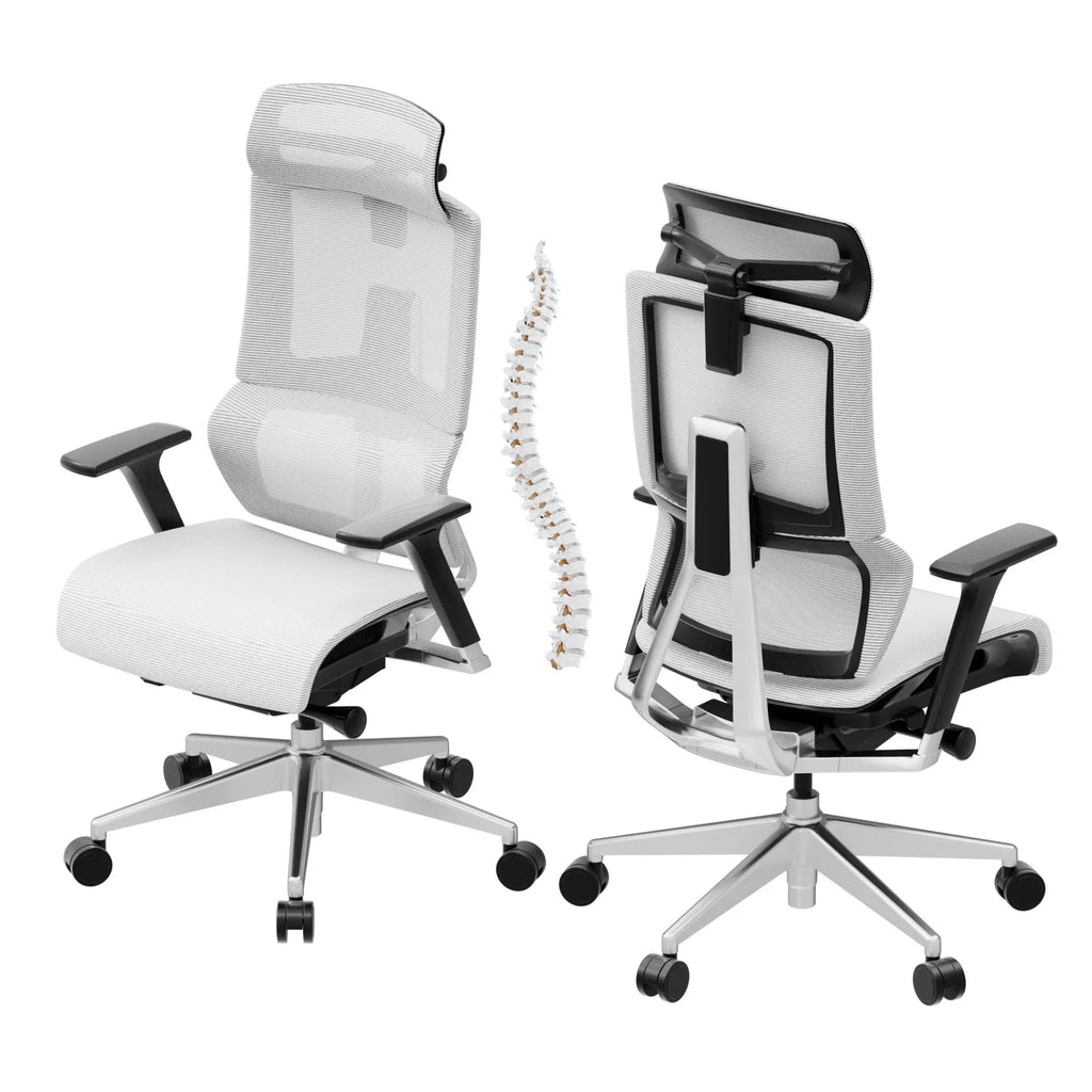 White Ergonomic Office Chair with Lumbar Support E369