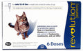 6 pack Revolution for Cats Z52007