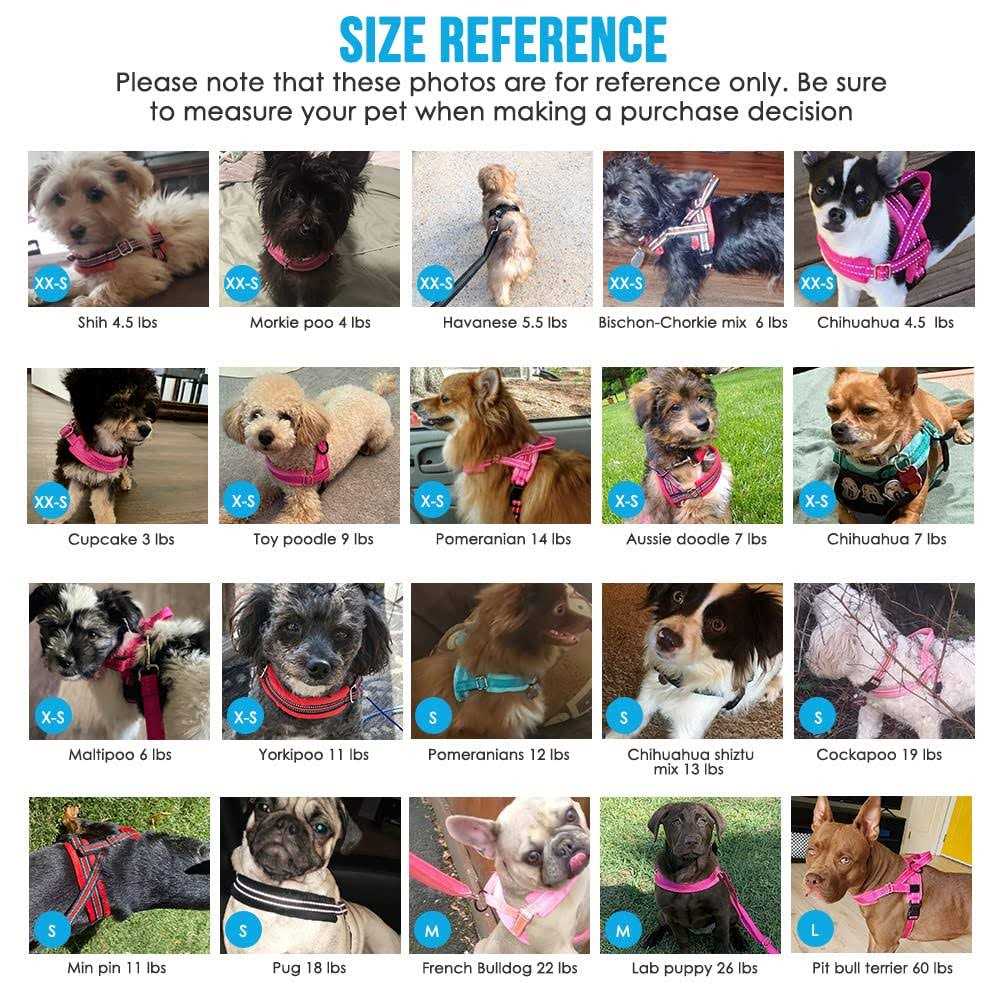 Heavy Duty Adjustable Reflective Dog Harness and Leash W8200