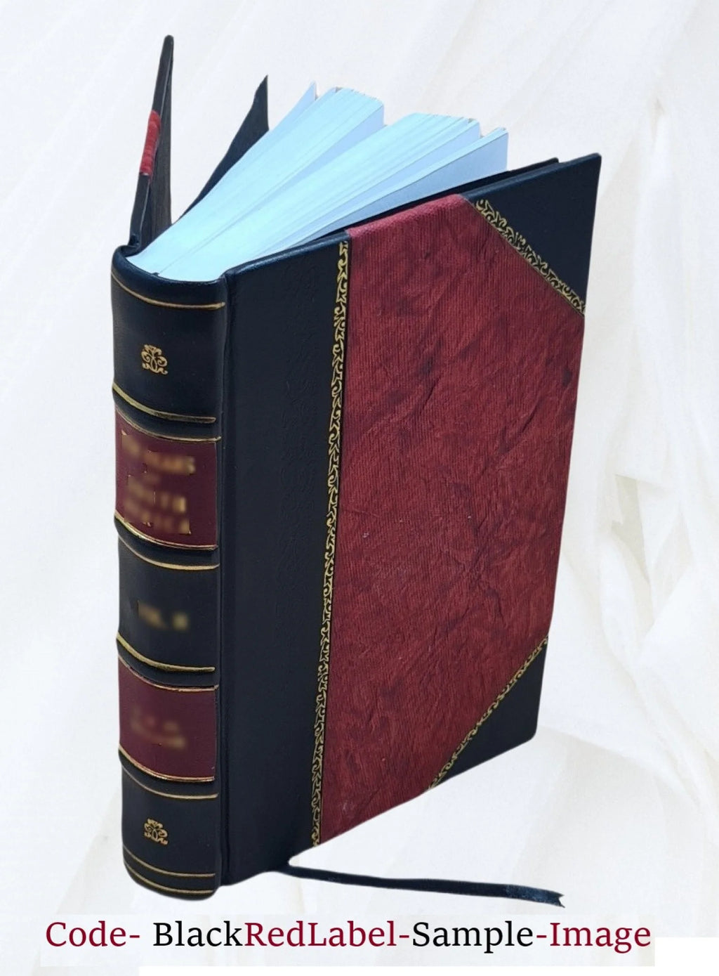 Leather Bound Historical Study W179